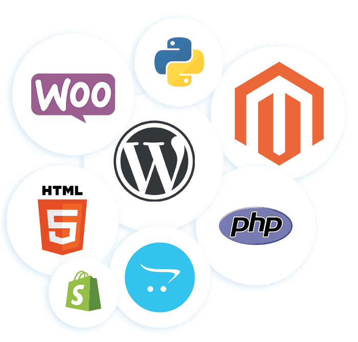 Web Development Expertise